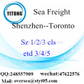 Shenzhen-Hafen LCL Konsolidierung nach Toronto